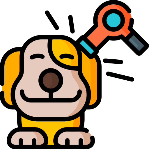 Pet Groom